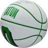 Wilson NBA Player Icon Basketballs – Size 3 and Size 7(Jayson Tatum)