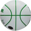 Wilson NBA Player Icon Basketballs – Size 3 and Size 7(Jayson Tatum)