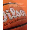 Wilson NCAA Evo NXT Official Indoor Game Basketballs – Sizes 6 and 7(Caitlin Clark 3951)