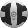 Wilson Pro Tour Indoor(Black/White)