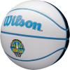 Wilson WNBA Team Autograph Series Mini Basketball(Chicago Sky)