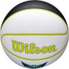 Wilson WNBA Team Autograph Series Mini Basketball(Dallas Wings)