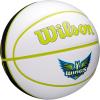 Wilson WNBA Team Autograph Series Mini Basketball(Dallas Wings)