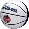 Wilson WNBA Team Autograph Series Mini Basketball(Indiana Fever)
