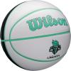 Wilson WNBA Team Autograph Series Mini Basketball(New York Liberty)