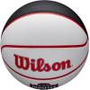 Wilson WNBA Team Autograph Series Mini Basketball(Washington Mystics)