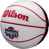 Wilson WNBA Team Autograph Series Mini Basketball(Washington Mystics)