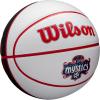 Wilson WNBA Team Autograph Series Mini Basketball(Washington Mystics)