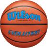 Wilson Evolution Indoor Game Basketballs – Size 5, Size 6 and Size 7(Royal/Brown)