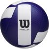 Wilson Helix Official Size Volleyballs(Blue/White)