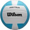 Wilson Pro Tour Indoor(Teal/White)