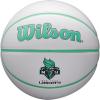 Wilson WNBA Team Autograph Series Mini Basketball(New York Liberty)