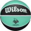 Wilson WNBA Team Tribute Basketballs – Women’s Official, Size 6-28.5″(New York Liberty)