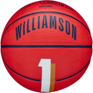 Wilson NBA Player Icon Basketballs – Size 3 and Size 7(Zion Williamson)