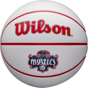 Wilson WNBA Team Autograph Series Mini Basketball(Washington Mystics)