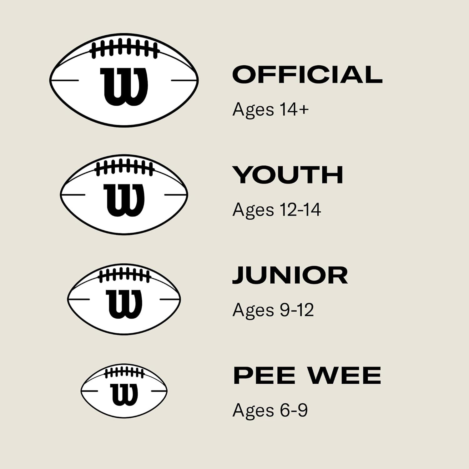 imageWilson GST Leather Game FootballJunior