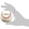 Wilson A1010 HS1(White)