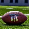 Wilson NFL Recreational Footballs(Brown)