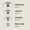 Wilson NFL Recreational Footballs(Silver)