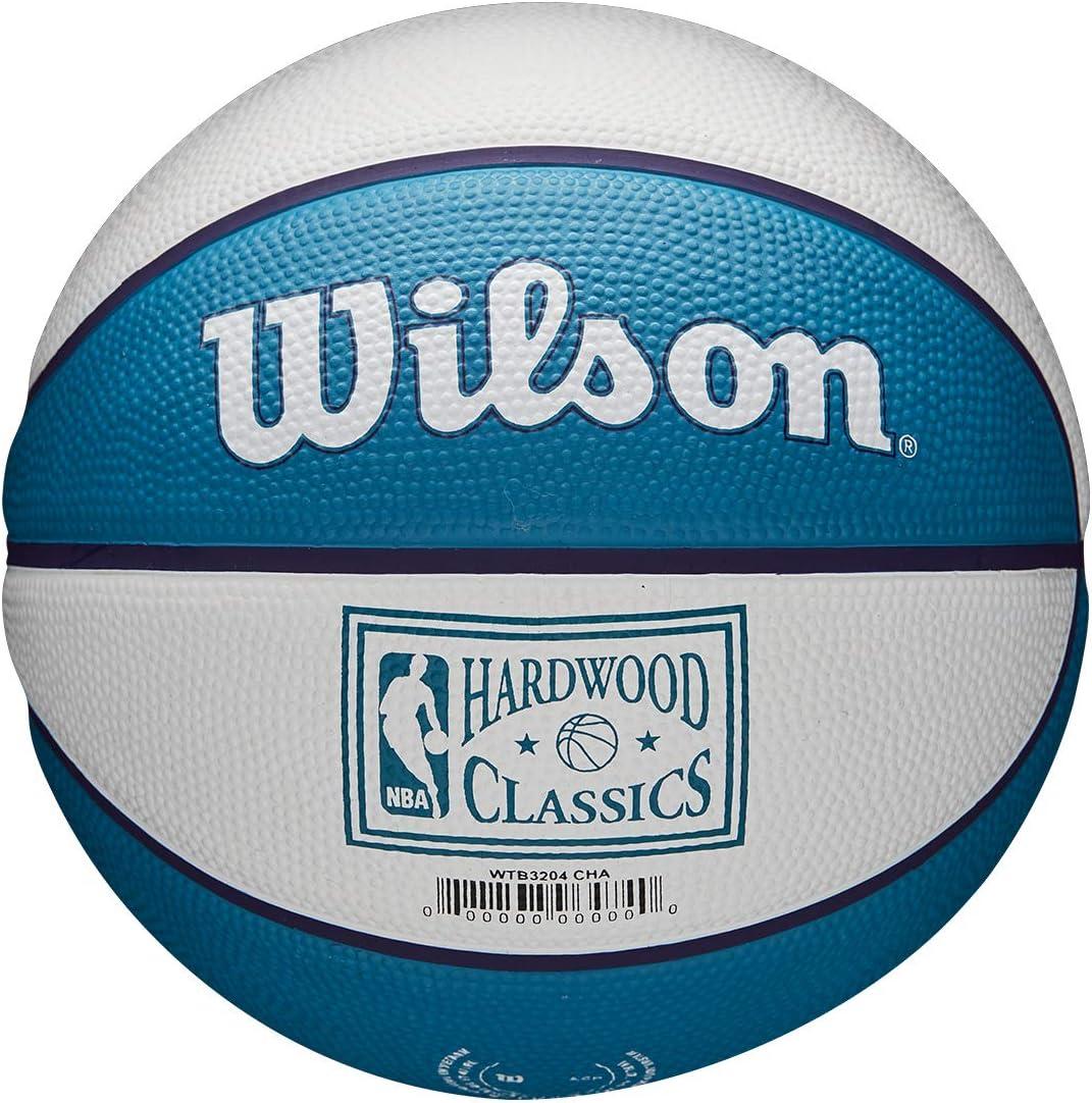 imageWilson NBA Team Retro Mini Basketballs Mini Size 3Charlotte Hornets