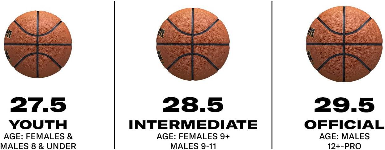 imageWilson Caitlin Clark Repetition Basketballs