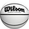 Wilson Autograph Basketball – NCAA and Non-NCAA, 29.5″ and Mini(Autograph)