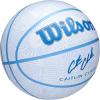 Wilson Caitlin Clark Envision Basketballs(Size 7 – 29.5″)