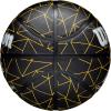 Wilson Caitlin Clark Repetition Basketballs(Size 6 – 28.5″)