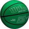 Wilson x Chris Brickley Training Basketballs – Size 6 and Size 7(Slick Training Ball)