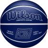 Wilson x Chris Brickley Training Basketballs – Size 6 and Size 7(Weighted Training Ball)