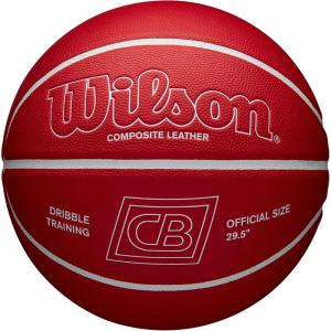 Wilson x Chris Brickley Training Basketballs – Size 6 and Size 7(Dribble Training Ball)