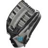 Wilson 2023 A500 Youth Baseball Glove(Black/Grey/Blue)