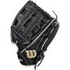 Wilson 2023 A500 Youth Baseball Glove(Black/White/Blonde)
