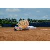 Wilson 2026 A1000 Baseball Gloves(Blonde/Cool Blue/Flamingo Pink)