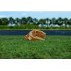 Wilson 2026 A1000 Baseball Gloves(Blonde/Saddle Tan/White)