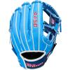 Wilson 2026 A450 Baseball Gloves(Cool Blue/Royal Blue/White)