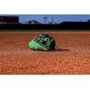 Wilson Summer 2025 A2000® Baseball Gloves(Black/Neon Green/Flamingo)