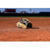 Wilson Summer 2025 A2000® Baseball Gloves(Blonde/Black)