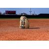 Wilson Summer 2025 A2000® Baseball Gloves(Blonde/Black)
