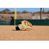 Wilson Summer 2025 A2000® Baseball Gloves(Blonde/Seafoam/Orange)