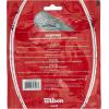 WILSON Natural Gut Tennis String – Set, White(17)