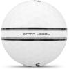 Wilson 2026 Staff Model TRK360-12 Balls, White