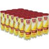 WILSON Championship Tennis Balls(Extra Duty)