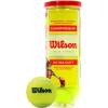WILSON Championship Tennis Balls(Extra Duty)
