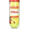 WILSON Championship Tennis Balls(Extra Duty)