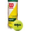 WILSON Championship Tennis Balls(Regular Duty)