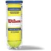 WILSON Sporting Goods Championship High Altitude Tennis Balls (1-Can)