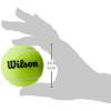 WILSON Sporting Goods WILSON Pressureless Tennis Balls – 18 Ball Bag, original version (WRT1323)