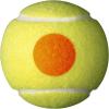 WILSON Starter Tennis Balls, Yellow/Orange(Starter Orange  Ages 9-10)