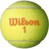 WILSON Starter Tennis Balls, Yellow/Orange(Starter Orange  Ages 9-10)